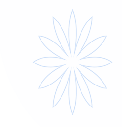 91九色泉城 - 91app官网下载安装 - 在线观看线路